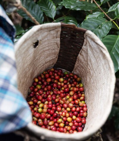 Cafe-colombiano