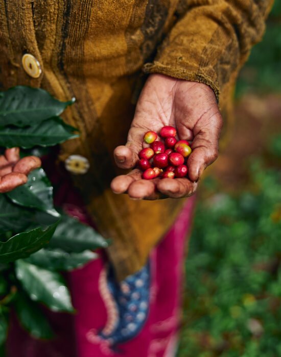 Cafe-de-colombia
