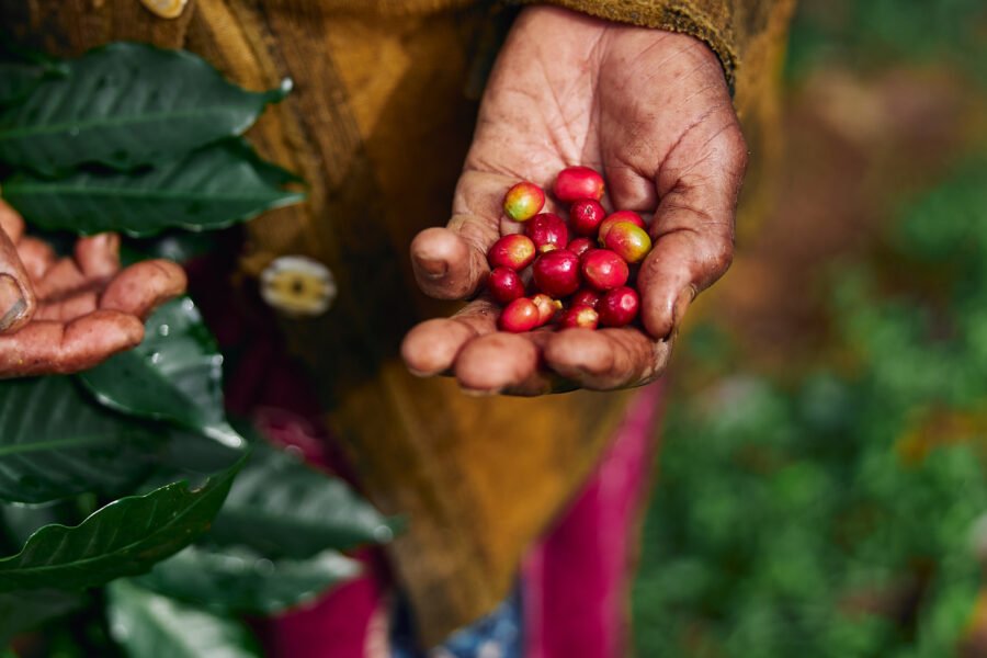 Cafe-de-colombia